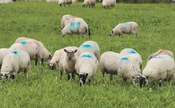 New Prime Minister must prioritise future of farming