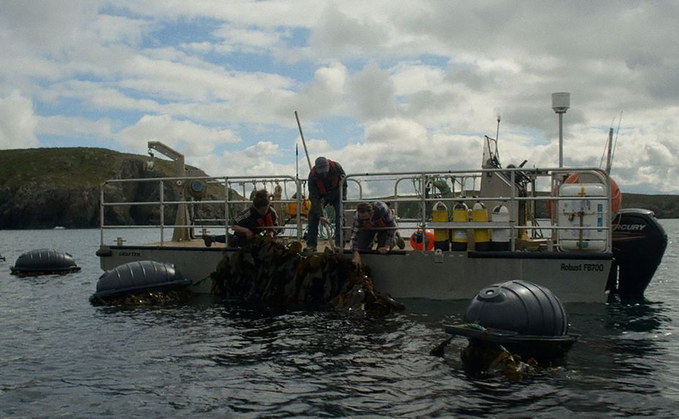 Câr-y-Môr is Wales' first regenerative seaweed farm.