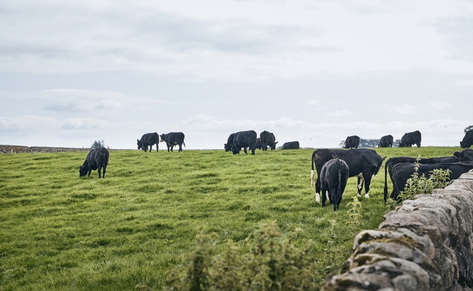 Matt Hood, food managing director at Co-op, said: "Supporting UK agriculture is more important than ever, and whilst our milk pricing model has worked well over the past decade, we recognise the need for its evolution, as part of our continued commitment to farmers."