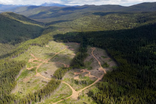 South32 increases investment in American Eagle Gold