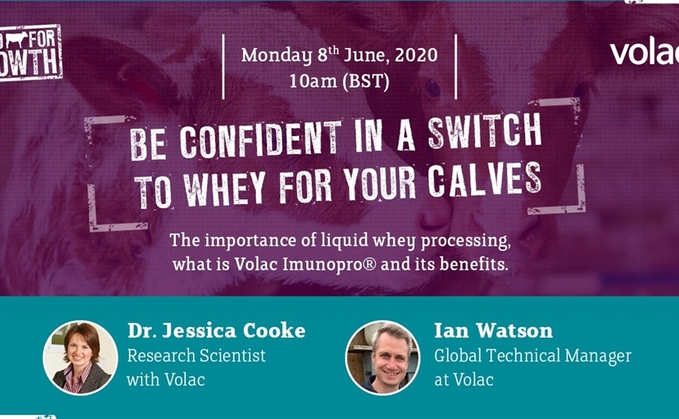 June Webinar: Be confident in a switch to whey for your calves