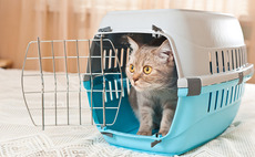 EQT-backed IVC bolts on Scarsdale Vets