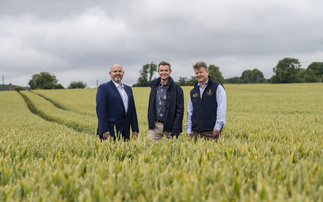 'Greener' whisky: Chivas Brothers toasts plans for new low-carbon fertiliser