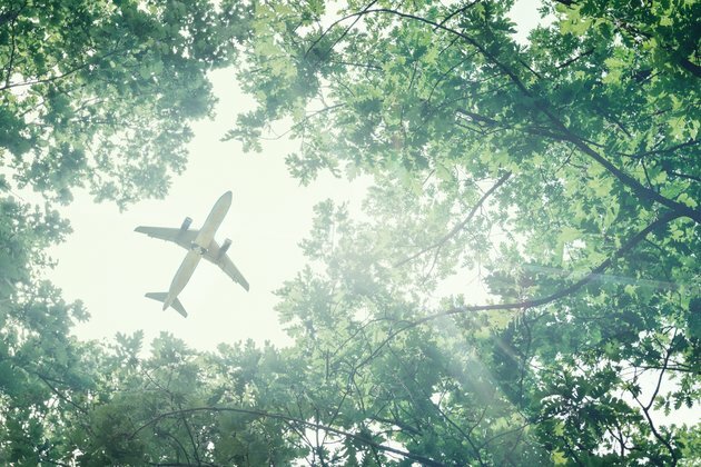 Travel the world without destroying it - Imagine newsletter #5