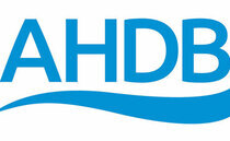 Farmers invited to AHDB bluetongue meetings at livestock markets 
