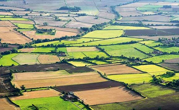 Farmers in limbo as Covid-19 causes Countryside Stewardship backlog