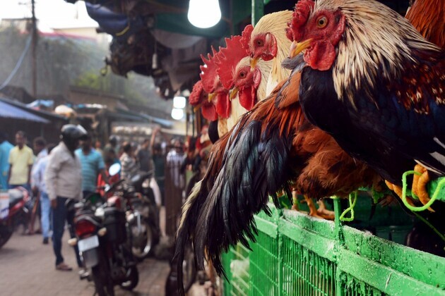 Varanasi Municipal Corporation moves to relocate meat, fish markets in phased manner