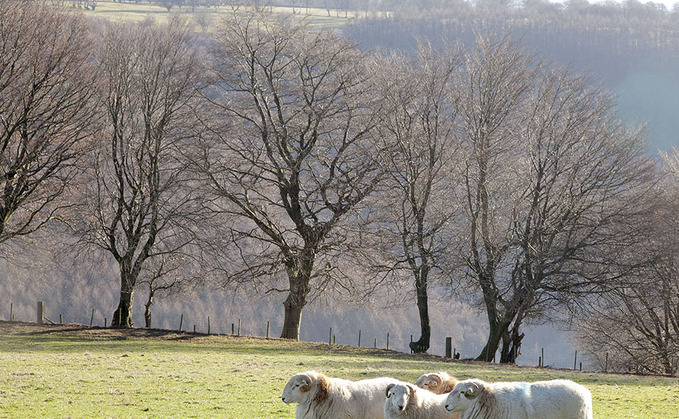 ż encouraged to complete online survey as part of farm assurance review