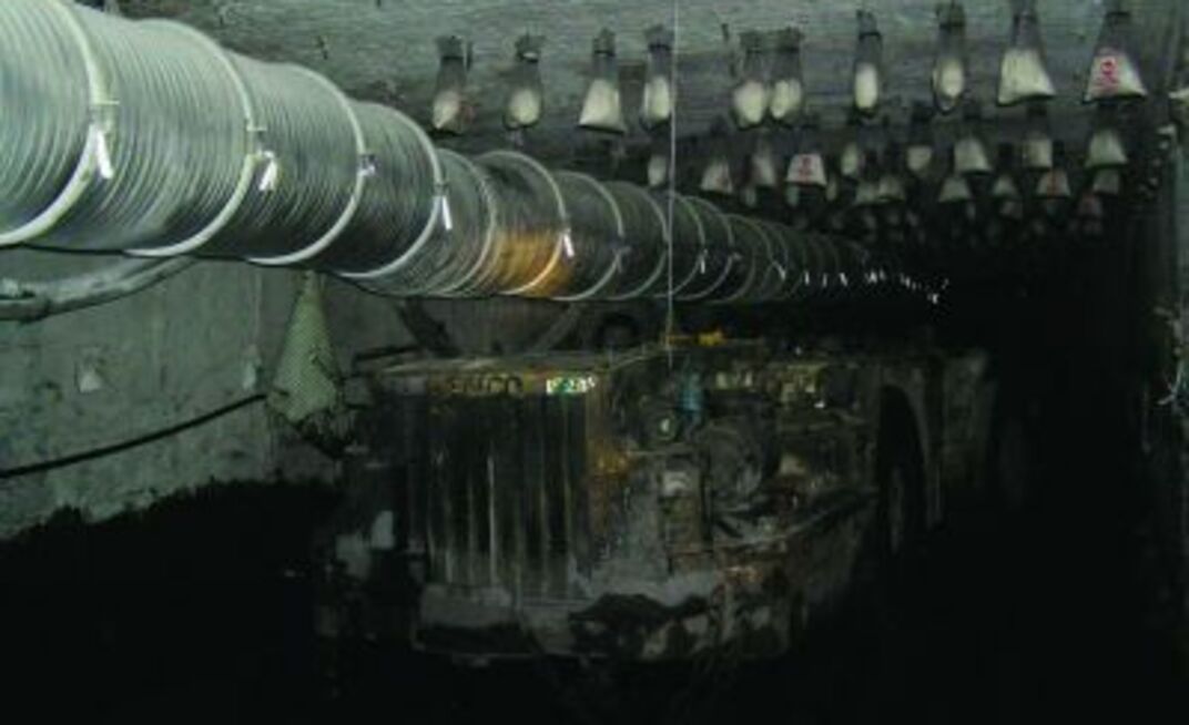 Monorail popularity soars