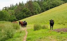 Welsh beef can capitalise on consumer demands