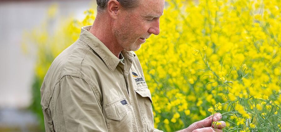 Dr Steve Marcroft said to prevent fungicide resistance getting worse, growers should only apply fungicides according to label recommendations and only when disease pressure is high and there is a clear risk of yield loss.