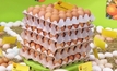 Controversy sparks again on caged eggs