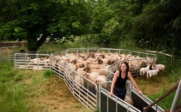 Great British Wool Revival: Wiltshire farmer showcases value of British wool