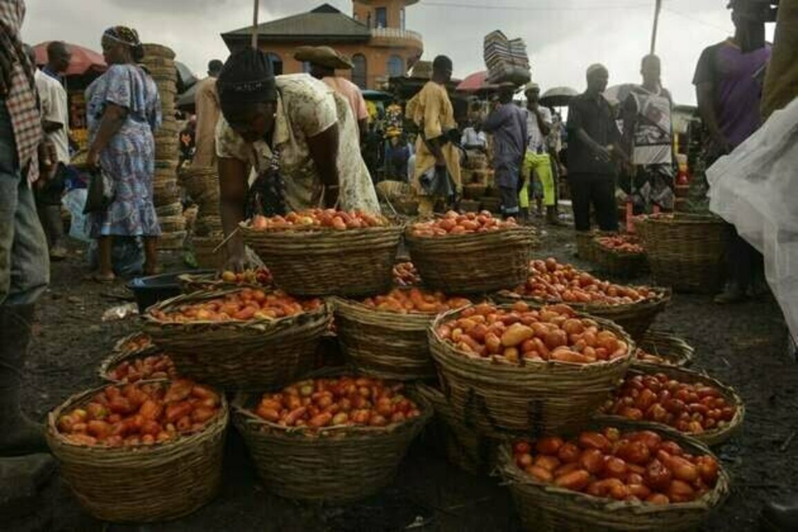 Rising Food Prices Deepen Nigeria's Poverty Crisis