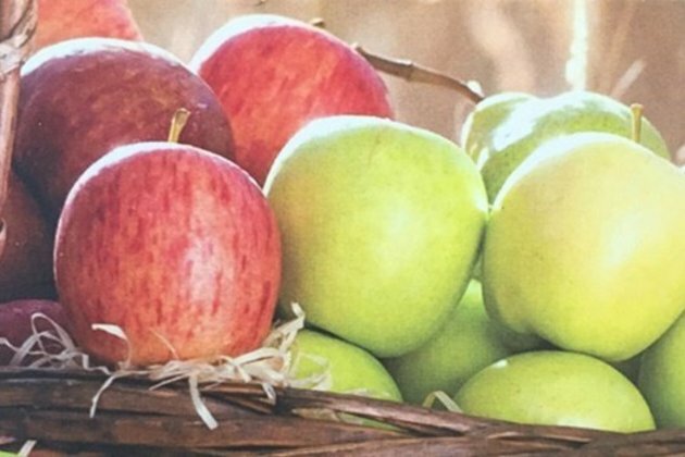 Positive outlook for South African apple and pear industry