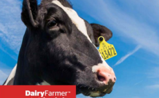 Dairy Farmer Magazine - Latest Edition