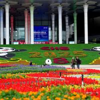 Interview: Georgia seeks to deepen economic cooperation with China at Import Expo, says official