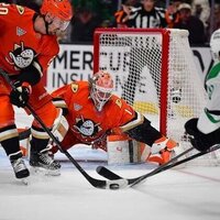 Ducks shoot past Stars to end 9-game losing streak
