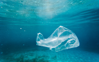 Study: Global plastic subsidies could almost double by 2050