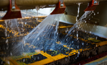 Gold ore washing.