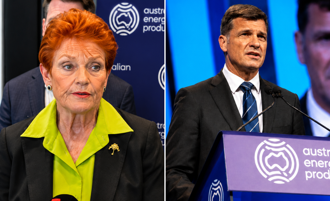 Pauline Hanson and Angus Taylor