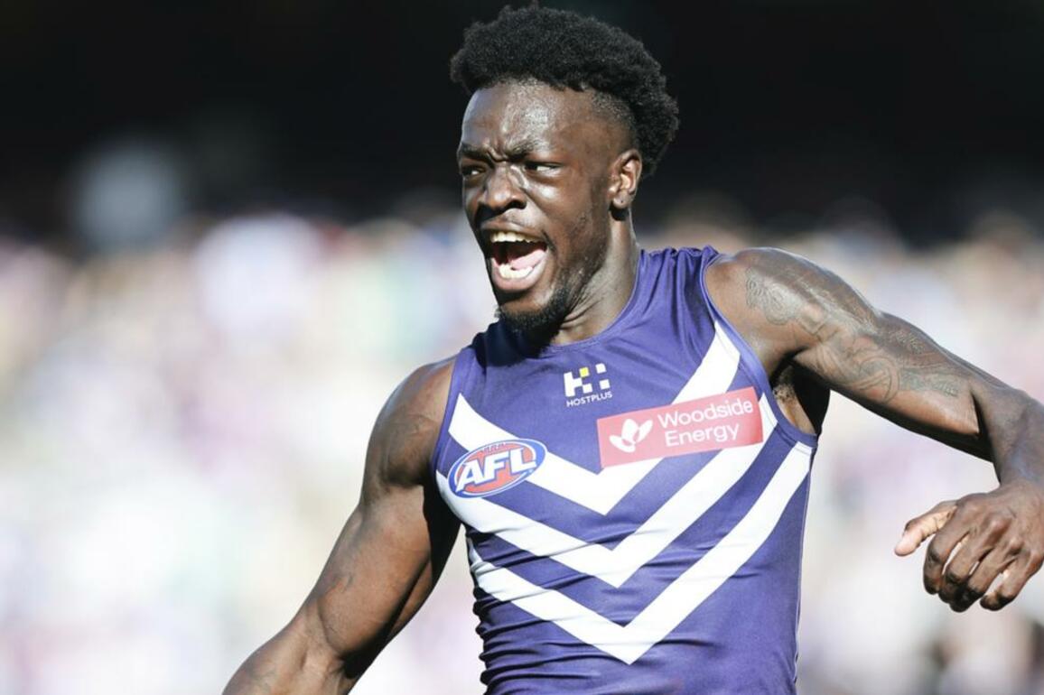 Three-word analysis of every Fremantle Dockers player in home clash with Western Bulldogs