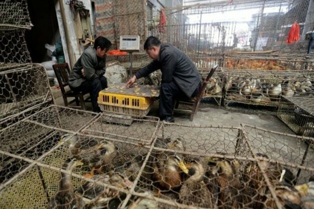 Coronavirus pandemic originated from illegally traded wild animals in Wuhan: Research