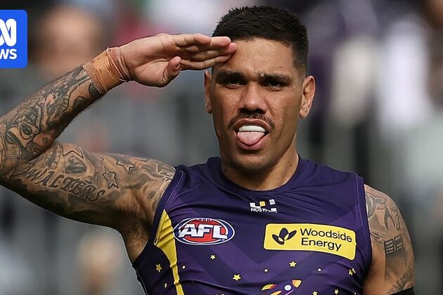 Fremantle Dockers forward Michael Walters retires from AFL after battling knee injury