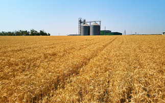 Poland, Hungary and Slovakia defy EU to continue Ukraine grain ban