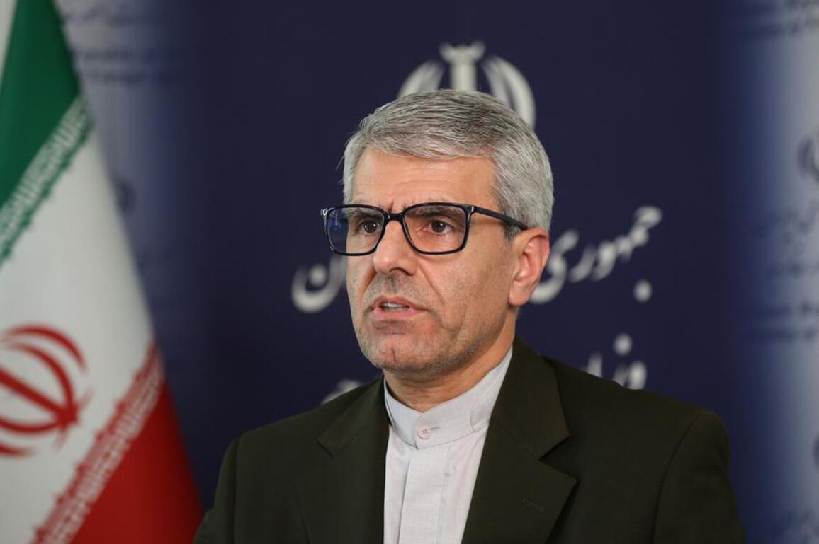 Senior Iranian diplomat says SCO significant to safeguarding multilateral world order