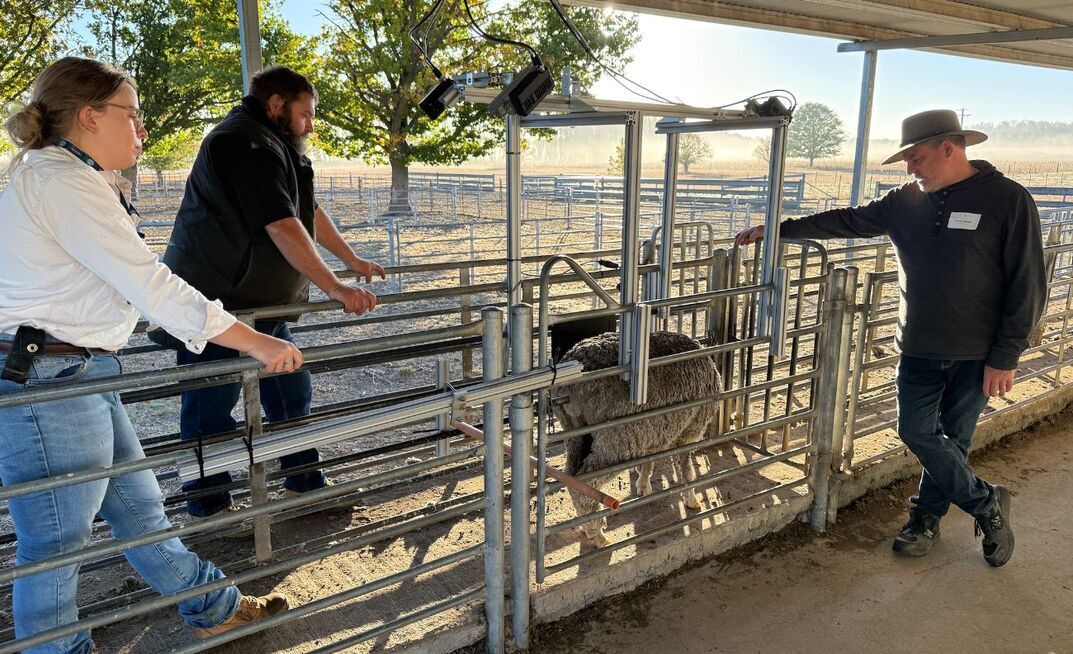 Members of the project team conducting initial system testing at CSIRO's Chiswick Research Station, Armidale, NSW.