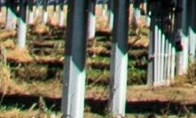 File photo: solar panels in a grid-scale outdoor setting