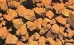 CVRD settles iron ore prices with Japanese