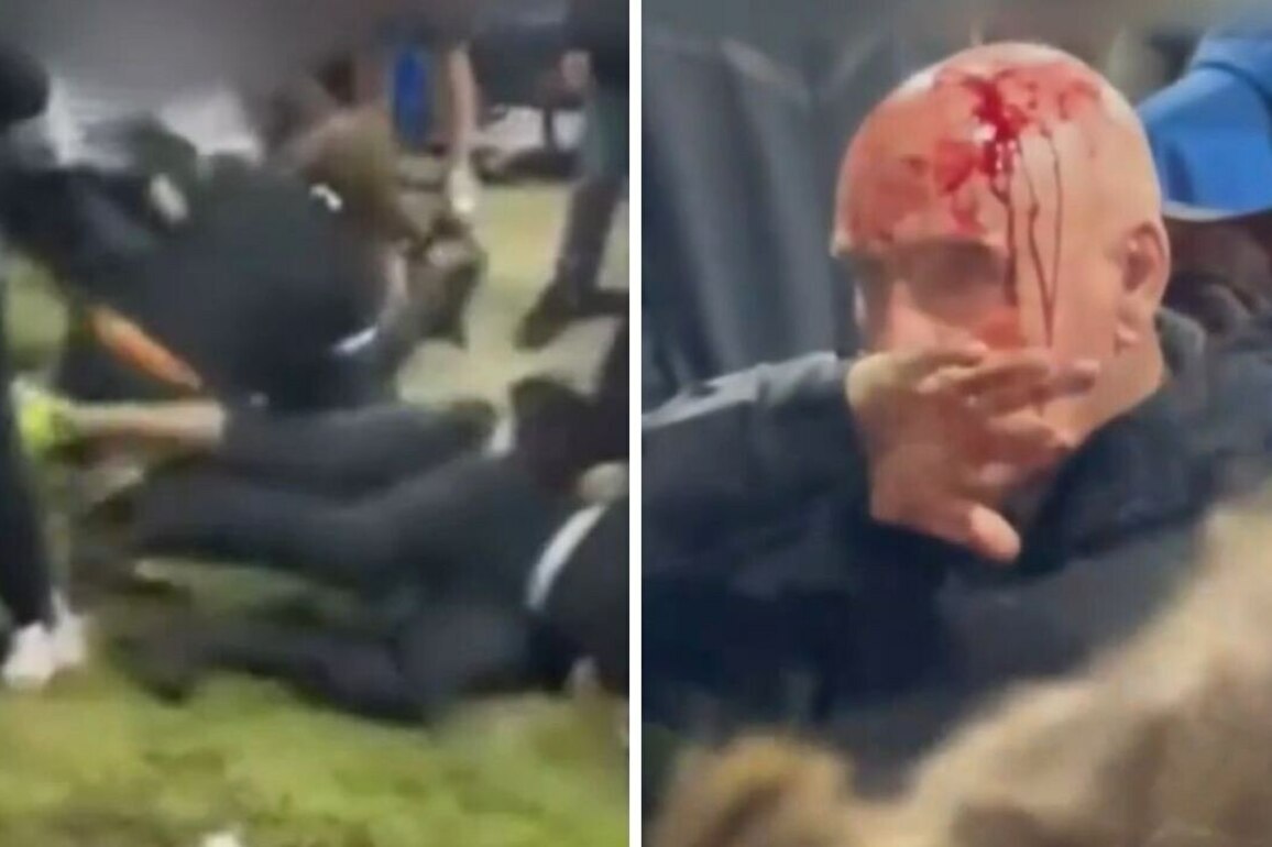 NRL 2025- Fans hospitalised, police hurt in ugly brawl at Wests Tigers game, video, latest news