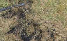 Farmer frustrated with police response after youths accused of starting fire 