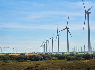Rothesay carbon intensity fallen 13% since 2020