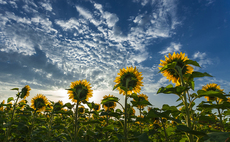 VC fundraising enjoys strong 2020 vintage, sunny prospects