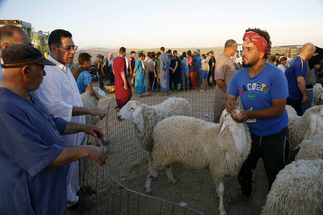 ALGERIA-BOUSSAADA-EID AL-ADHA-LIVESTOCK MARKET