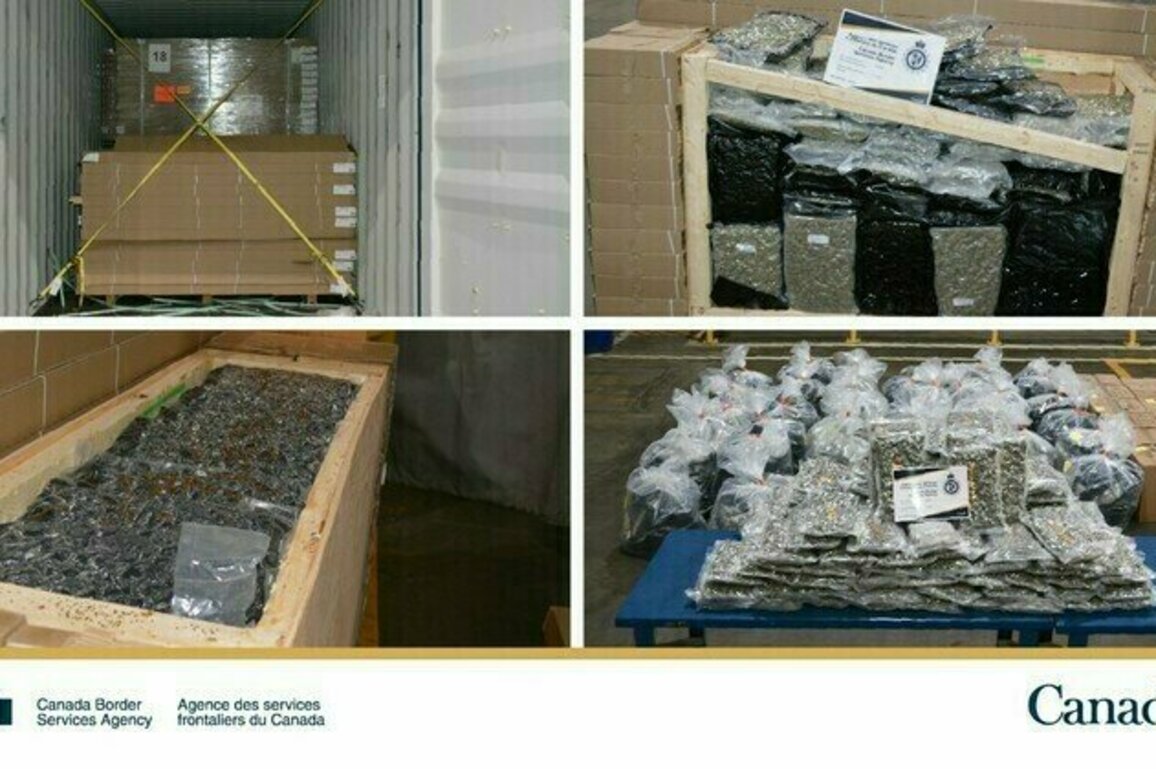 CBSA intercepts 577 kg of cannabis at the Montreal Marine and Rail Service