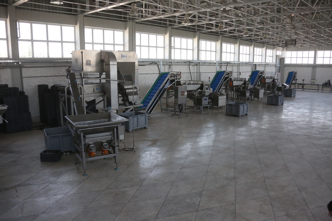AFGHANISTAN-KABUL-RAISIN PROCESSING FACILITY