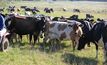 Challenges ahead for Qld farmers