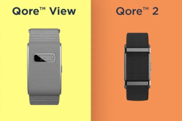 Skepticism vs. Reality: The Truth Behind Pebble Qore View and Qore 2 under 5k