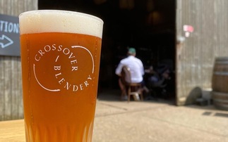 Opportunities for farmers to diversify into business incubators 