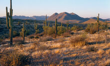 Mesa, Arizona is the location for the new Metso service centre