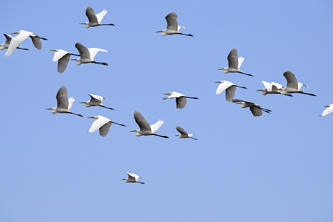 (HainanOutlook) CHINA-HAINAN-CHANGJIANG-WETLAND PARK (CN)