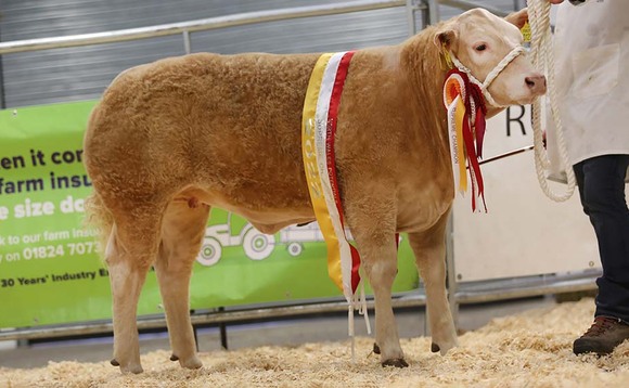 Charolais cross heifer tops Ruthin show potential sale at 5,800