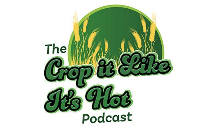 Crop it Like It's Hot podcast: Three Nuffield Scholars talk project plans including farm data, knowledge sharing and travel plans