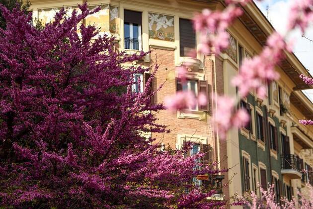 Spring celebrated in Europe via various activities