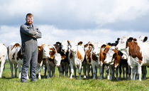 Three generations, one breed: How Montbeliardes drive organic dairy success on the Scottish coast 