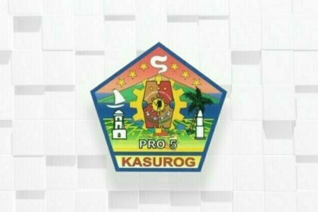 PRO5 probes slay of 2 party-list members in Sorsogon